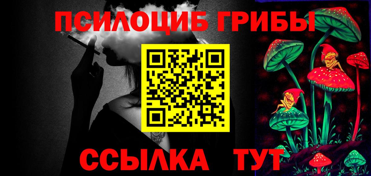 Псилоцибиновые грибы Psilocybine cubensis Рузаевка